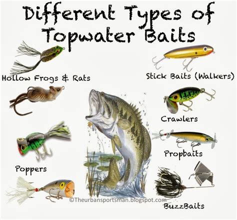 Insider Secrets: How to Fish with Magic Topwater Bait Like a Pro
